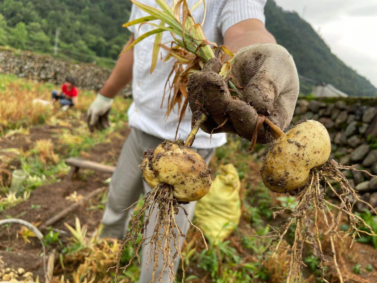 1624612749965891.jpg 1624612749965891.jpg